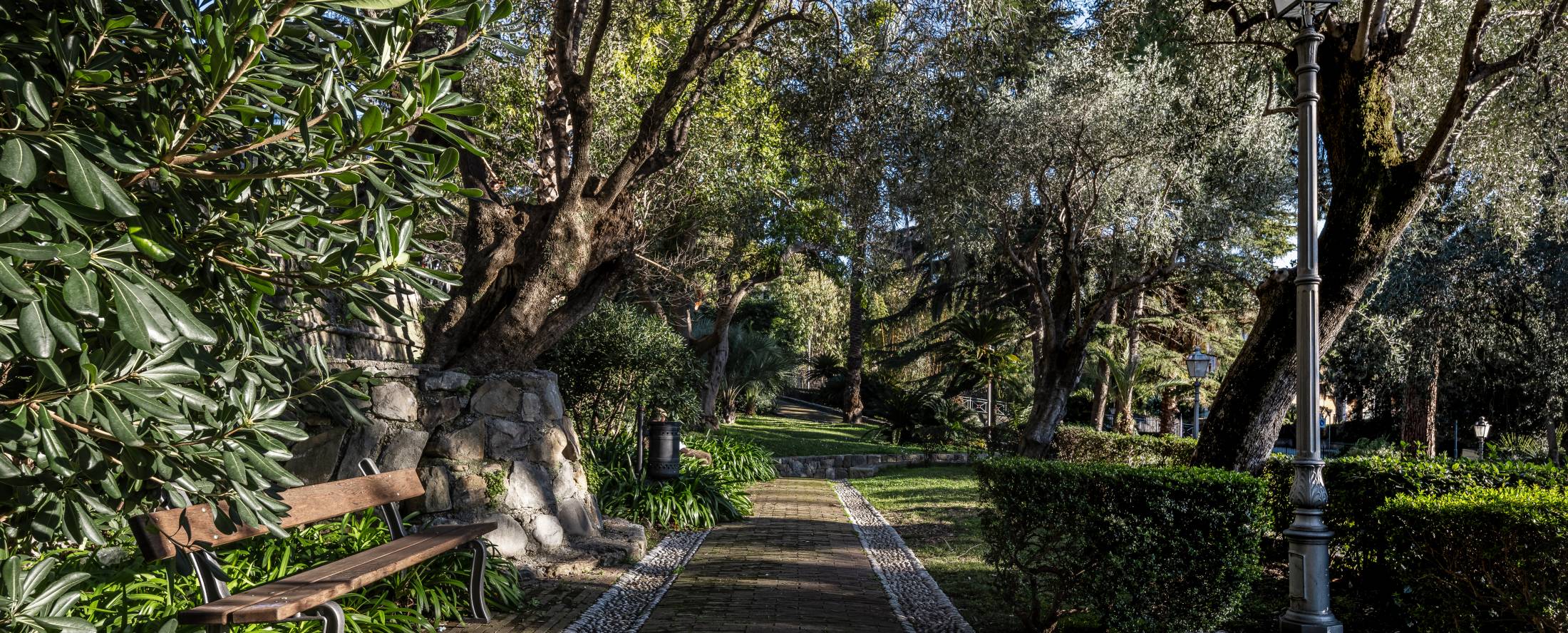 Monet Gardens