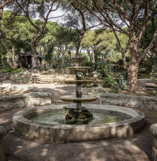 La pineta