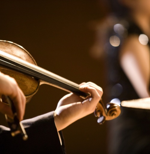 I Valzer della famiglia Strauss e non solo…