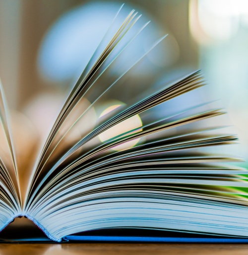 BOOK FESTIVAL