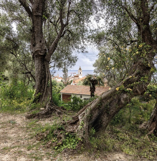 Bordighera